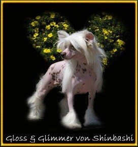 Gloss And Glimmer von Shinbashi