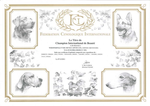 7. Dez. 2011 Internationaler Champion FCI