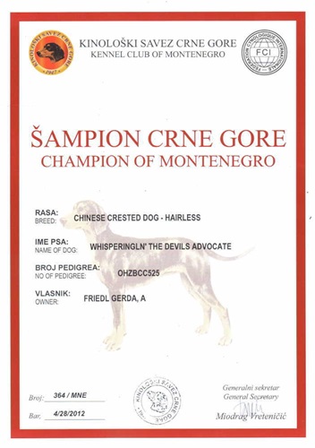 Apr. 28, 2012 Champion Montenegro