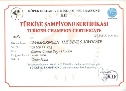 20. Juli 2012 Champion Türkei