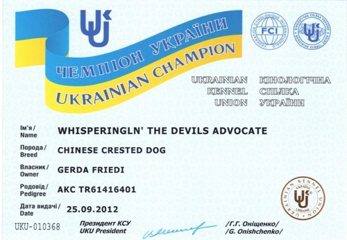 21. Juli 2012 Champion Ukraine