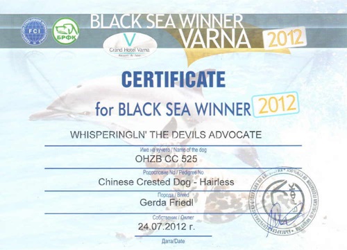 CACIB Varna/BG July 24, 2012 - BOB, Black Sea Winner