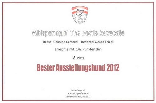 4. Mai 2013 2. Platz Bester Ausstellungshund Zwerghunde Österreich 2012 und Nr. 2 Chinese Crested Österreich 2012