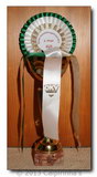 2. Platz Bester Ausstellungshund Zwerghunde Österreich 2012 und Nr. 2 Chinese Crested Österreich 2012 Austria 2012