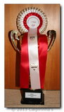 Best Show Dog Toy Breeds Austria 2012 + No. 1 Chinese Crested Austria 2012