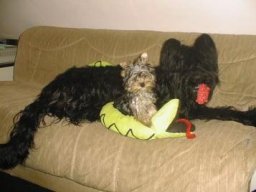 Gizmo &amp; Yazoo