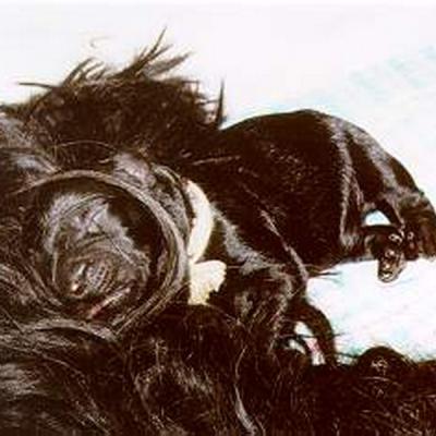 C1 3