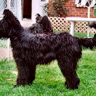 Chloe108