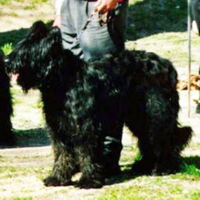 023 Clochard044