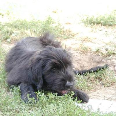 Bisou00760