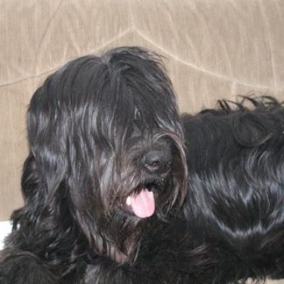 Bisou02560