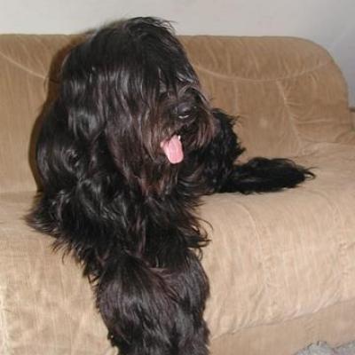 Bisou030