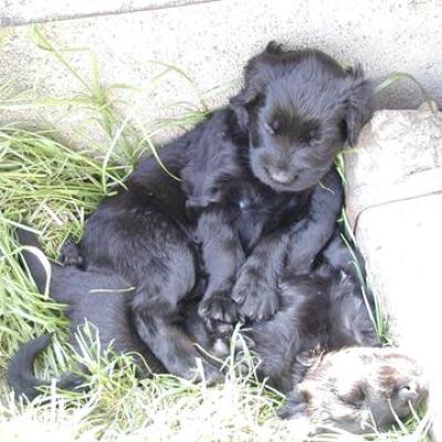G24 004