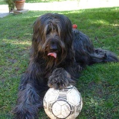 Gus Maerz2007 01360