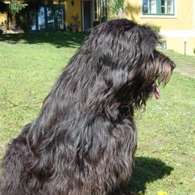 Gus040503 02