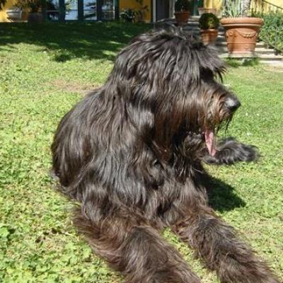 Gus040503 03360