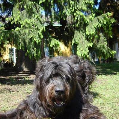 Gus040503 04