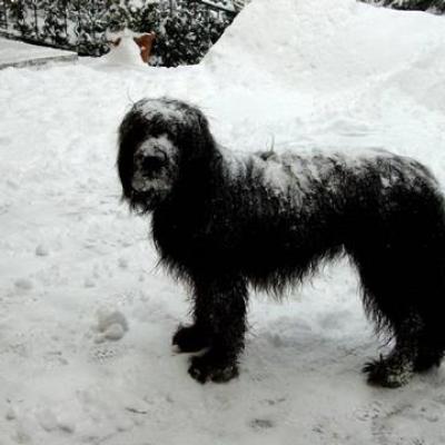 Gus050104 05360