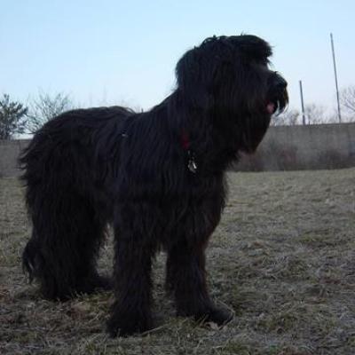 Gus080303 02