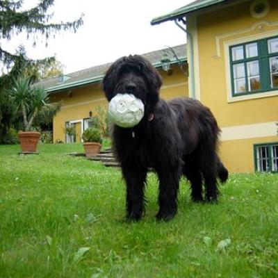 Gus10 2002 06