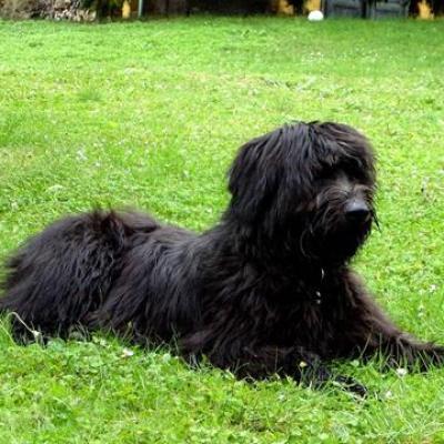 Gus10 2002 09360