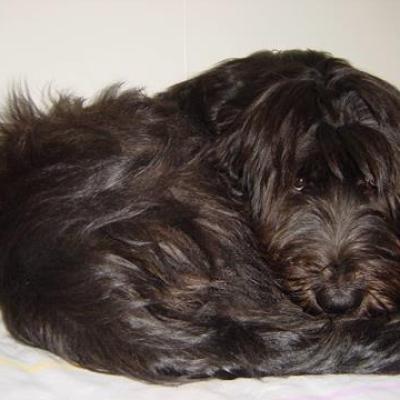 Gus10 2002 11360