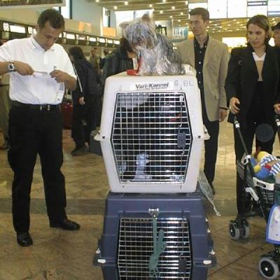 E Airport001