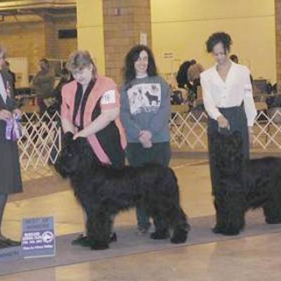 Romeocou180201 11