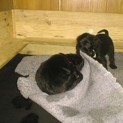 E 58 001