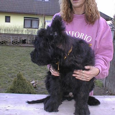 Frizzante007