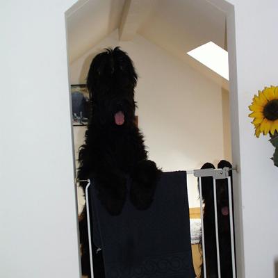 Frizzante083
