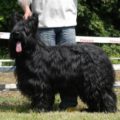 Frizzy442