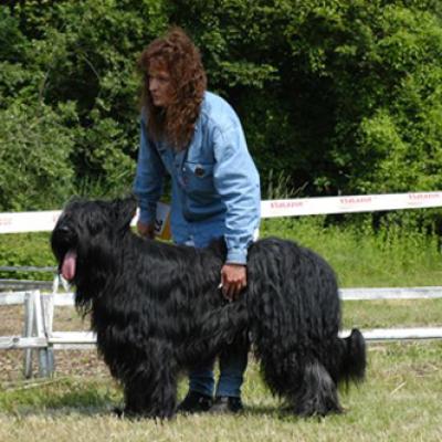 Frizzy447
