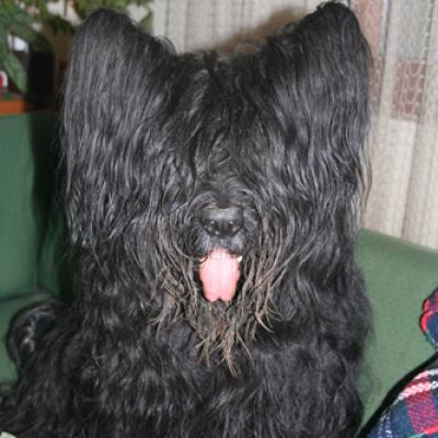 Frizzy4971