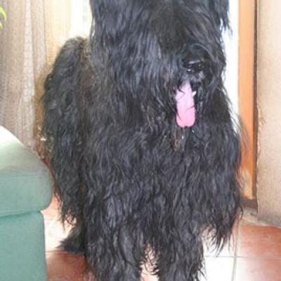 Frizzy514