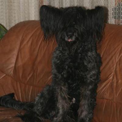 Frizzy548