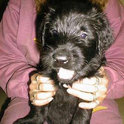 F 2 014