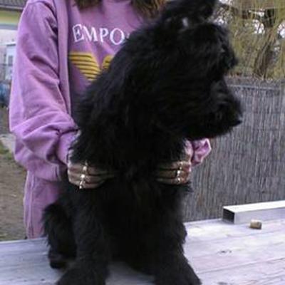 Ferre008