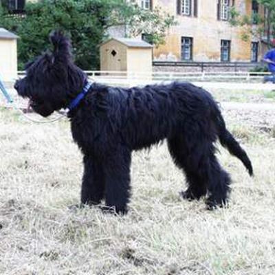 Falco020601 0052