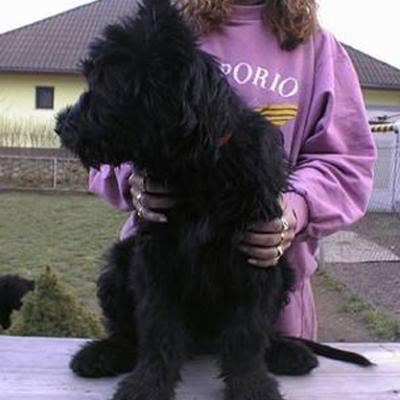 Fleury008