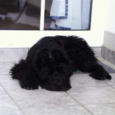 Fleury028