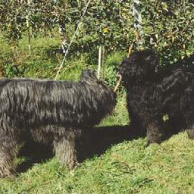 Fleury030