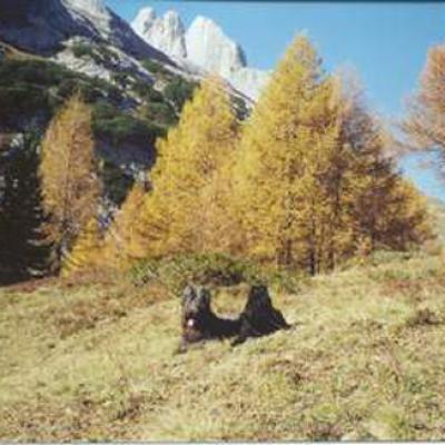 Fleury033