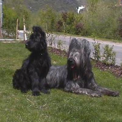 Fleury230401 21