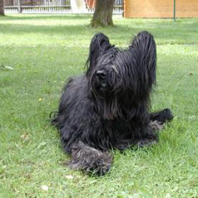 Fleury260703 04