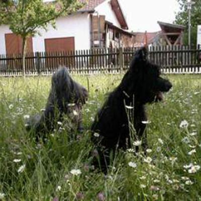 Fleurynoun280501 1