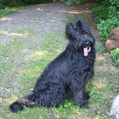 Ferri 20070714 06