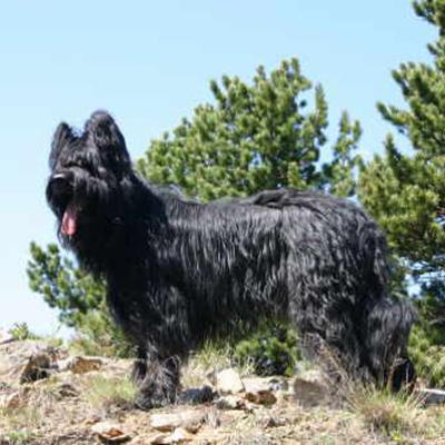 Ferri Juni2006 01
