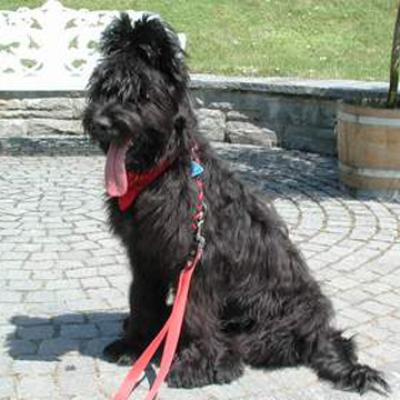 Ferri240601 2