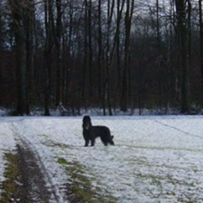 Ferri301201 07